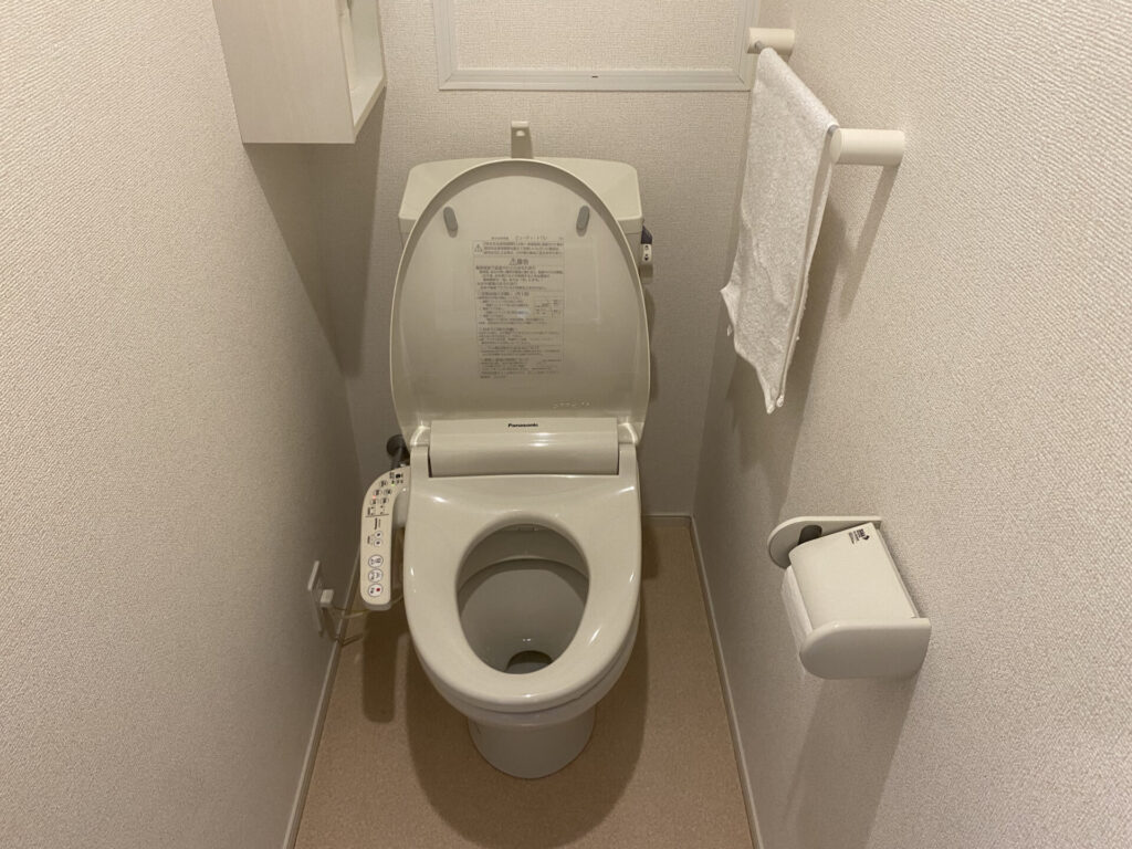 clean-toilet