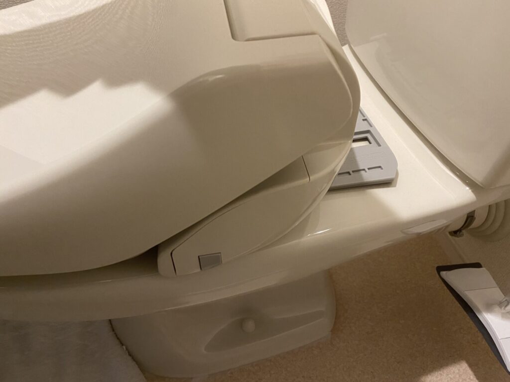 remove-toilet-seat